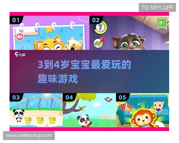 FC游戏ROM分类的常见类型与分类标准，助你轻松整理海量游戏资源