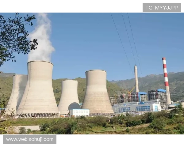 多宝电子行业分析:政策环境变化对行业发展的影响与应对措施